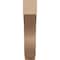 Ekena Millwork 2"W x 10"D x 10"H Thin Van Buren Rough Cedar Woodgrain TimberThane Corbel, Primed Tan CORUR02X10X10VANRCPR - alternate 4